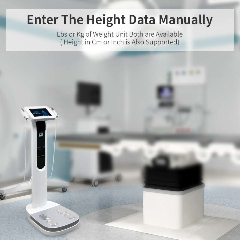 SONKA Body composition