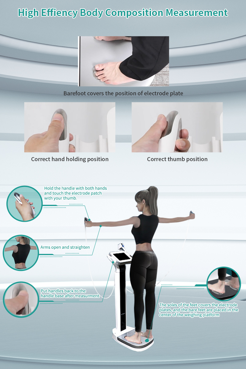 SONKA Body composition