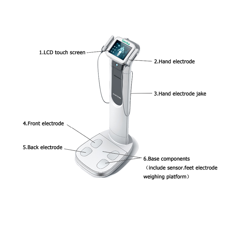 SONKA Body composition